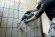 Акумуляторний перфоратор Metabo KH 18 LTX BL 24, каркас у кейсі (601713840)