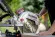 Акумуляторна торцювальна пила з протяжкою Metabo KGS 18 LTX BL 305 2х8.0 Аг (614305810)
