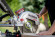 Акумуляторна торцювальна пила з протяжкою Metabo KGS 18 LTX BL 305 каркас (614305850)